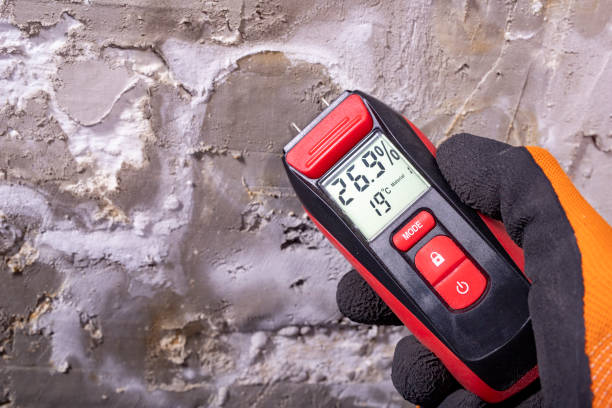 Best Mold Removal Near Me  in Edwardsvle, IL
