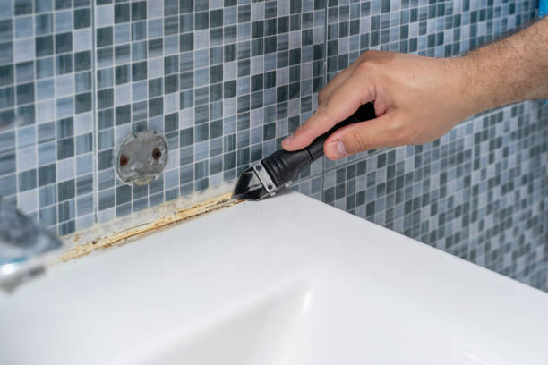Best Mold Remediation  in Edwardsvle, IL